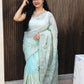 Manjiree Chikankari saree: Light Sky