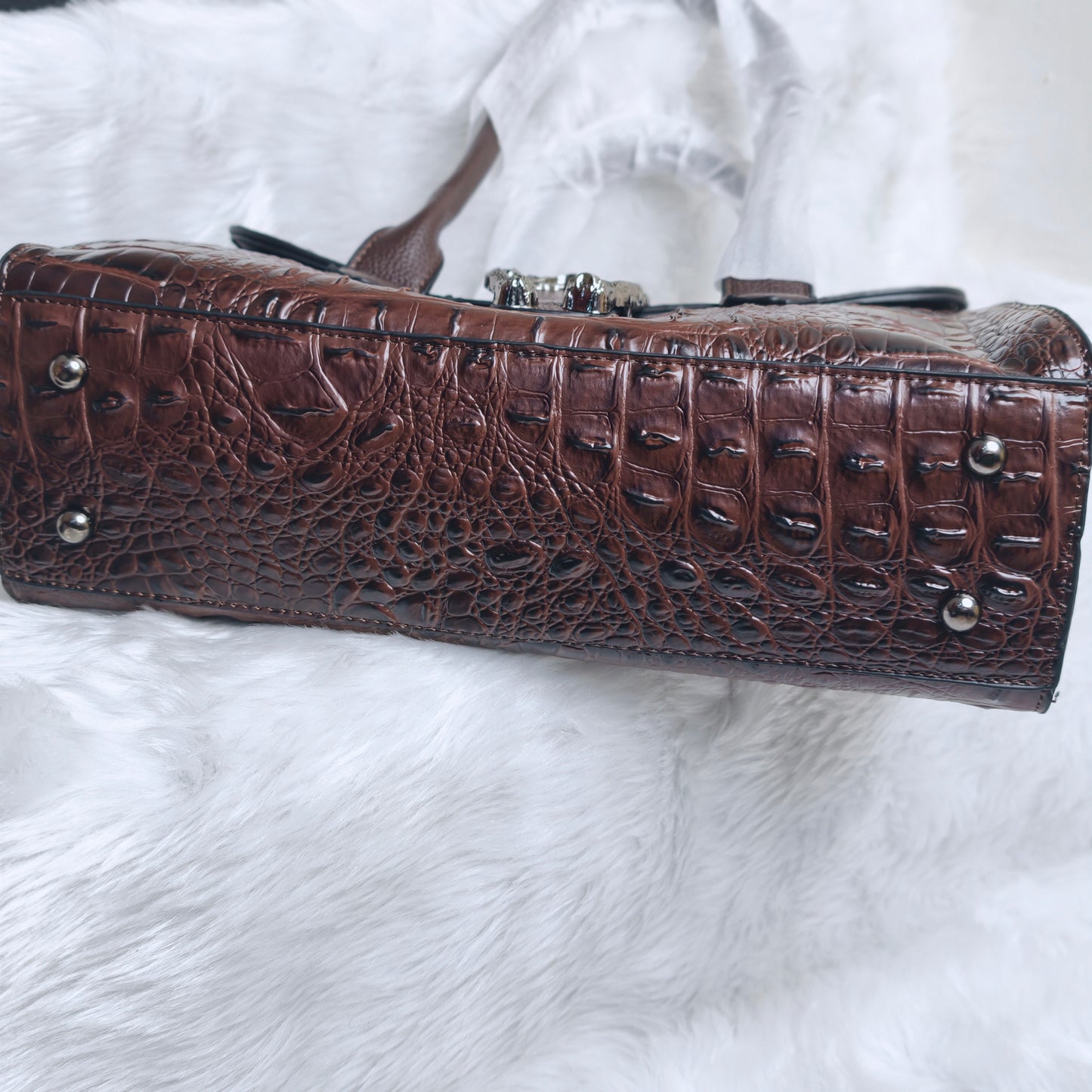 PR : 5598 -12 crocodile